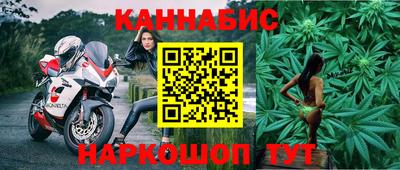 эйфоретик Кингисепп