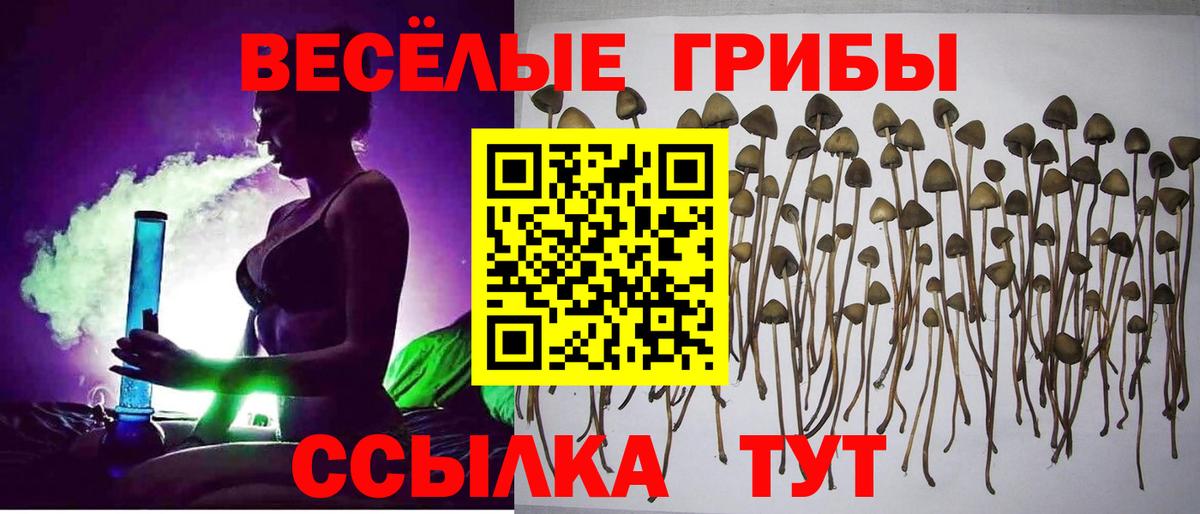 Конаково  Галлюциногенные грибы мухоморы  Галлюциногенные грибы ЛСД  Вход с VPN 