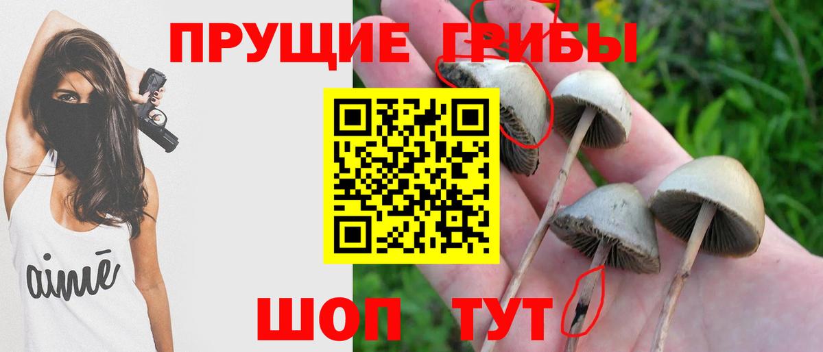 Галлюциногенные грибы мицелий Конаково